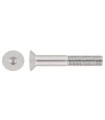 M10X100 TORNILLO AVELLANADO DIN 7991 10.9 ZINCADO