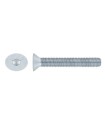 M10X18 TORNILLO AVELLANADO DIN 7991 10.9 ZINCADO