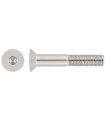 M10X70 TORNILLO AVELLANADO DIN 7991 INOX A2