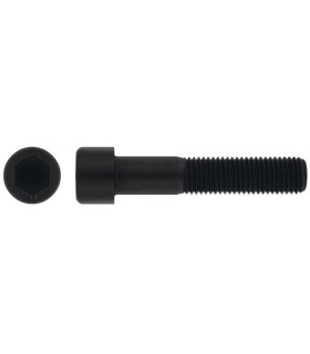 MF 10/(125)X110 TORNILLO ALLEN DIN 912 8.8 NEGRO