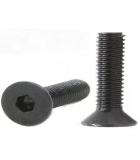 W 1/4X44 TORNILLO AVELLANADO DIN 7991 12.9 NEGRO