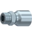 MACHO S.43 UNA SOLA PIEZA ORFS 13/16" 16H DN 1/2"