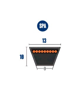 CORREA TRAP. SPA-1175 13x10x1175 lp