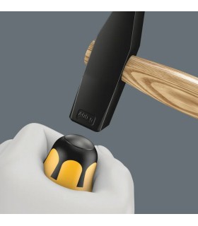 DESTORCINCEL PHILLIPS WERA PH-1
