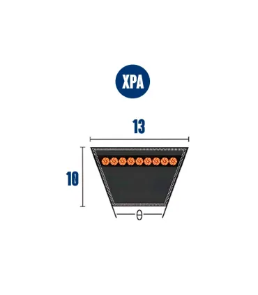 CORREA TRAP. XPA-2532 13x10x2532 lp