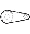 CORREA SINCRON DENT. 881L100
