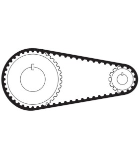 CORREA SINCRON DENT. 300L037