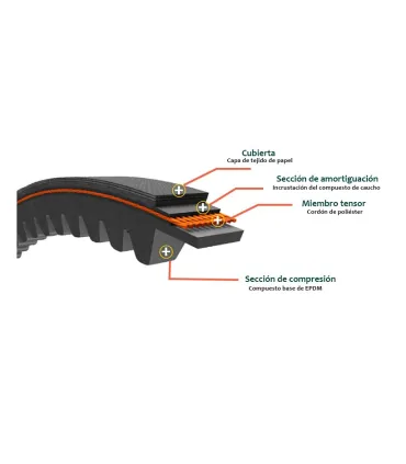 CORREA TRAPECIAL DENTADA BX 35 17X11X890 Li