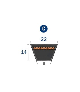 CORREA TRAPECIAL C 124 22x14x3150 Li