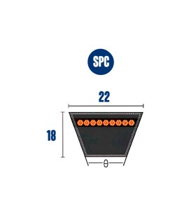 CORREA TRAPECIAL SPC 5000 22X18X5000 Lp