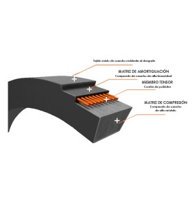 CORREA TRAPECIAL SPZ 1312 10x8x1312 Lp