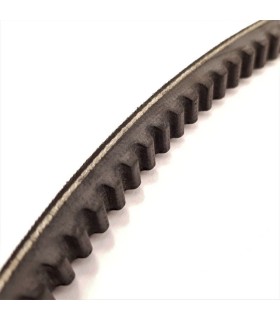 CORREA TRAP. DENTADA XPZ 1112 / 3VX439 10x8x1112 Lp