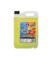 BIDON 20L  ANTICONGELANTE CC 50% (-37ºC)
