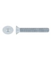 M12X70 TORNILLO AVELLANADO DIN 7991 10.9 ZINCADO