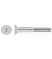 M12X100 TORNILLO AVELLANADO DIN 7991 10.9 ZINCADO