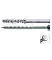 UD. TACO + TORNILLO HEXAGONAL 10x100
