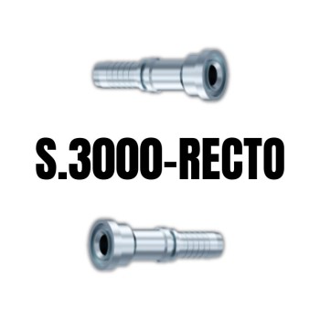 Recto