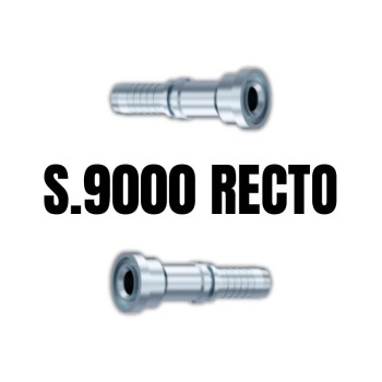 Recto