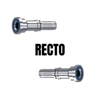 Recto