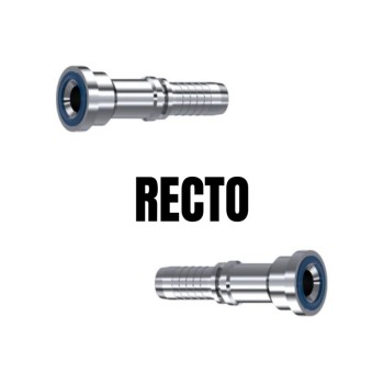 Recto